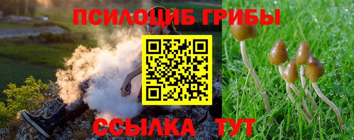 Псилоцибиновые грибы мухоморы Невинномысск